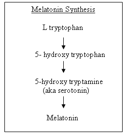 melatonin-synthesis